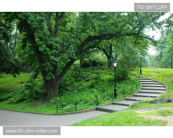 纽约：麦迪逊广场花园+中央公园+马拉松，不眠之城，麦迪逊广场花园得分排名
